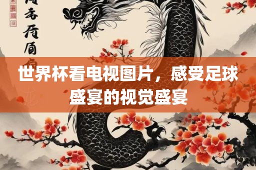 世界杯看电视图片，感受足球盛宴的视觉盛宴