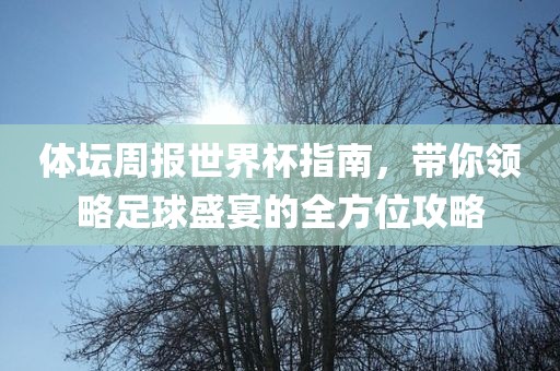 体坛周报世界杯指南，带你领略足球盛宴的全方位攻略