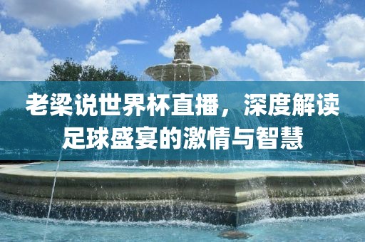 老梁说世界杯直播，深度解读足球盛宴的激情与智慧