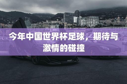 今年中国世界杯足球，期待与激情的碰撞