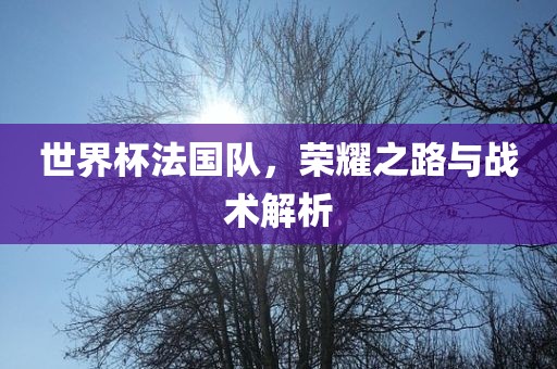 世界杯法国队，荣耀之路与战术解析
