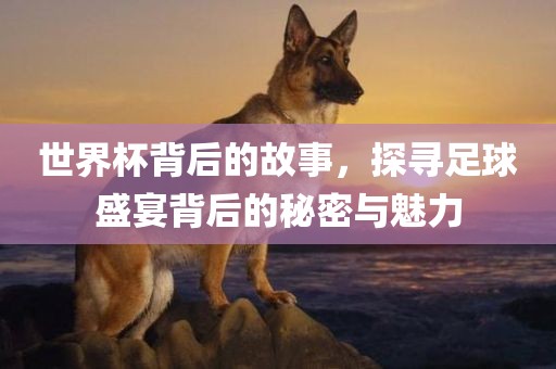 世界杯背后的故事，探寻足球盛宴背后的秘密与魅力眉山市正发家政服务有限公司