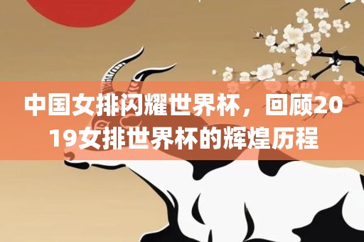 中国女排闪耀世界杯，回顾2019女排世界杯的辉煌历程