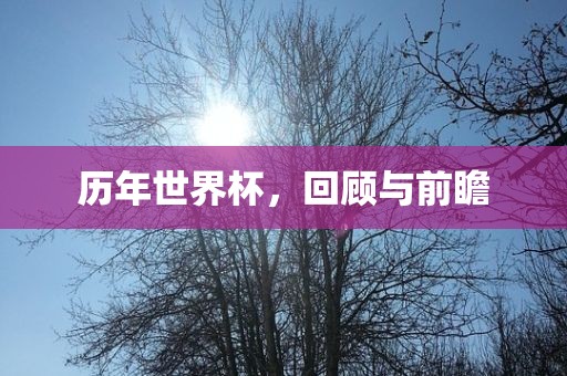 历年世界杯，回顾与前眉山市正发家政服务有限公司瞻