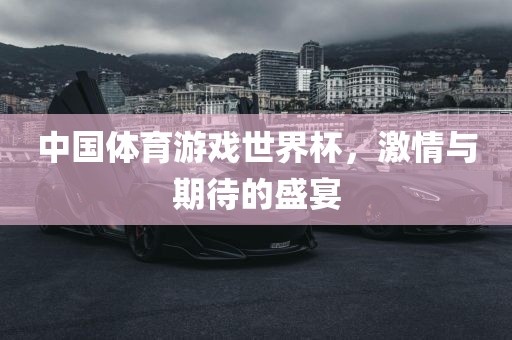 中国体育游戏世界杯，激情与期待的盛宴