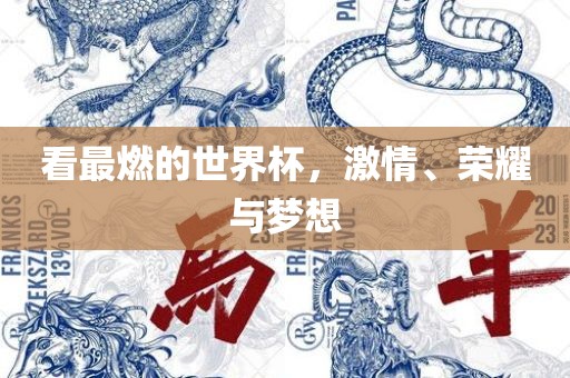 看最燃的世界杯，激情、荣耀与梦想