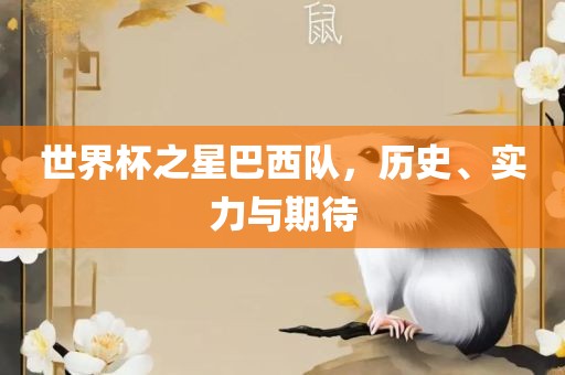世界杯之星巴西队，历史、实力与期待眉山市正发家政服务有限公司