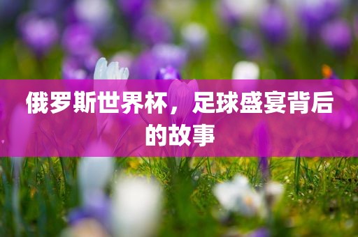 俄罗斯世界杯，足球盛宴背后的故事