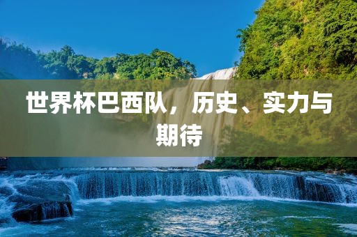 世界杯巴西队，历史、实力与期待