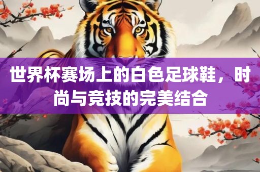 世界杯赛场上的白色足球鞋，时尚与竞技的完美结合