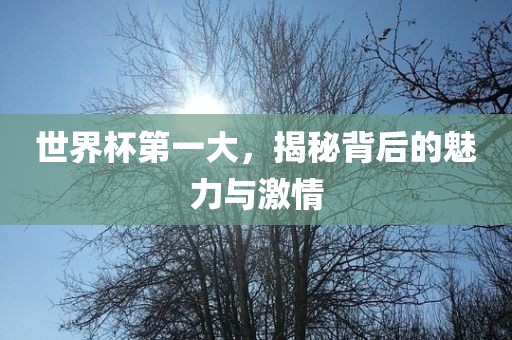 世界杯第一大，揭秘背后的魅力与激情