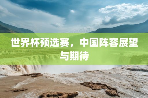 世界杯预选赛，中国阵容展望与期待