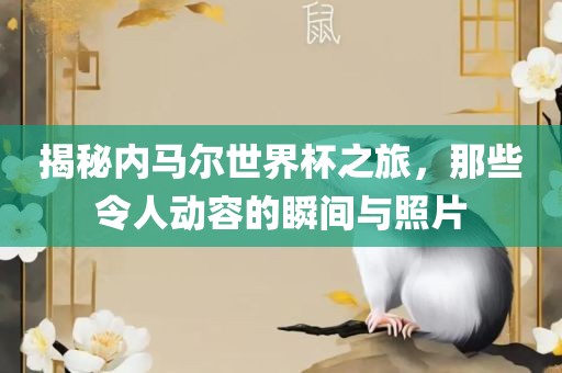 揭秘内马尔世界杯之旅，那些令人动容的瞬间与照片