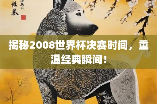 揭秘2008世界杯决赛时间，重温经典瞬间！