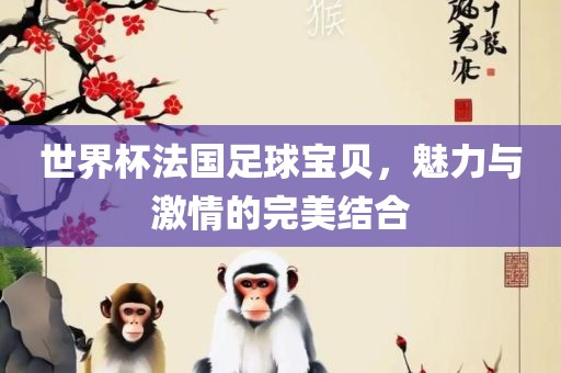 世界杯法国足球宝贝，魅力与激情的完美结合