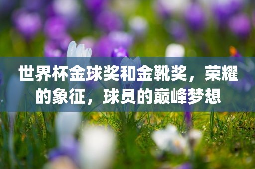 世界杯金球奖和金靴奖，荣耀的象征，球员的巅峰梦想