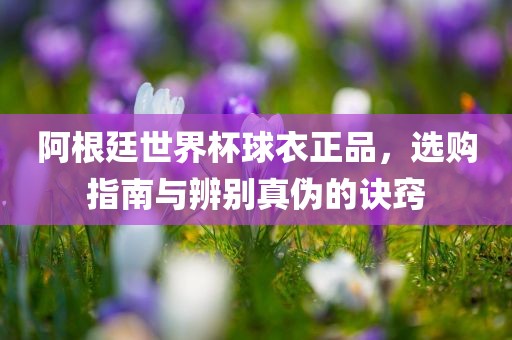 阿根廷世界杯球衣正品，选购指南与辨别真伪的诀窍