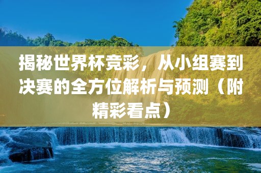 揭秘世界杯竞彩，从小组赛到决赛的全方位解析与预测（附精彩看点）