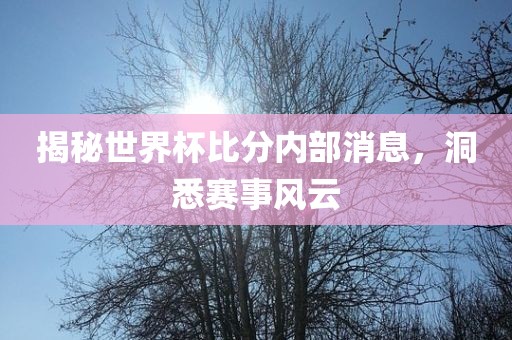 揭秘世界杯比分内部消息，洞悉赛事风云