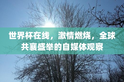 世界杯在线，激情燃烧，全球共襄盛举的自媒体观察