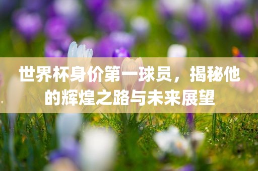 世界杯身价第一球员，揭秘他的辉煌之路与未来展望