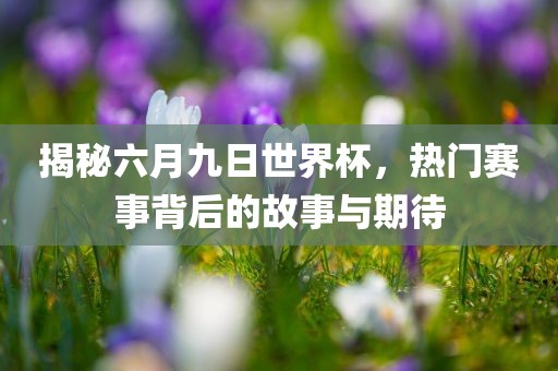揭秘六月九日世界杯，热门赛事背后的故事与期待