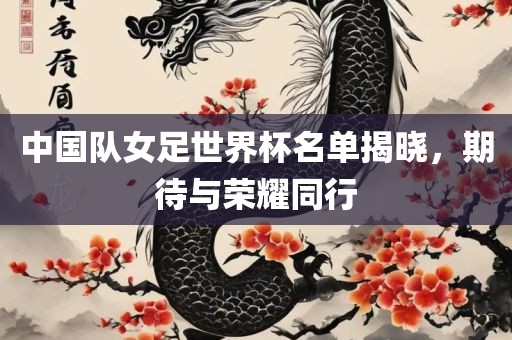 中国队女足世界杯名单揭晓，期待与荣耀同行