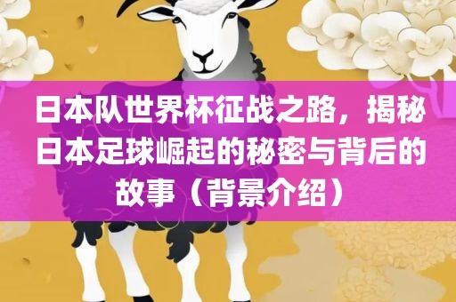 日本队世界杯征战之路，揭秘日本足球崛起的秘密与背后的故事（背景介绍）