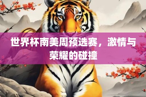 世界杯南美周预选赛，激情与荣耀的碰撞