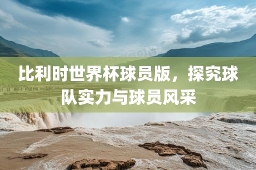 比利时世界杯球员版，探究球队实力与球员风采