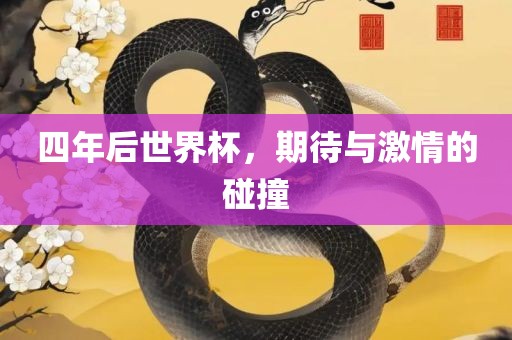四年后世界杯，期待与激情的碰撞