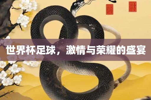 guozhejia 第11页