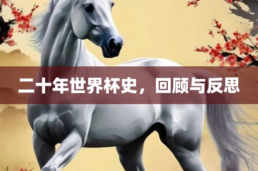 二十年世界杯史，回顾与反思