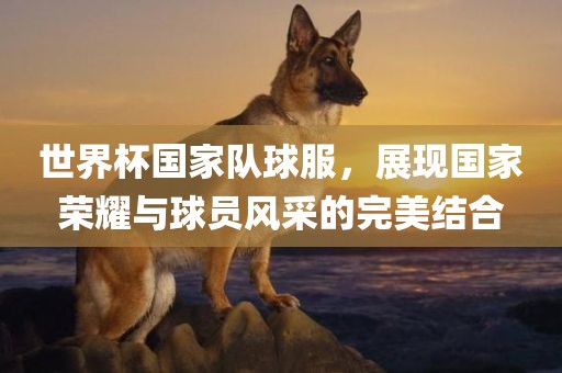 世界杯国家队球服，展现国家荣耀与球员风采的完美结合