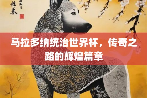 马拉多纳统治世界杯，传奇之路的辉煌篇章