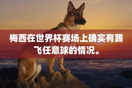 梅西在世界杯赛场上确实有踢飞任意球的情况。