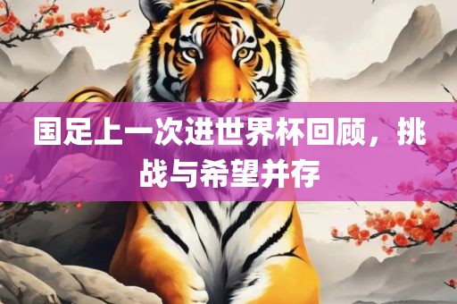 国足上一次进世界杯回顾，挑战与希望并存