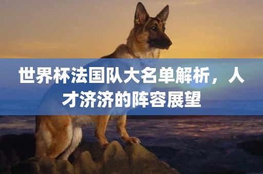 世界杯法国队大名单解析，人才济济的阵容展望