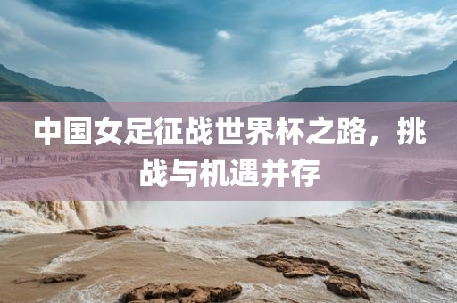 中国女足征战世界杯之路，挑战与机遇并眉山市正发家政服务有限公司存
