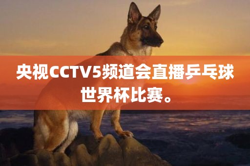 央视CCTV5频道会直播乒乓球世界杯比赛。