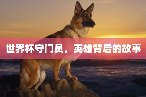 世界杯守门员，英雄背后的故事