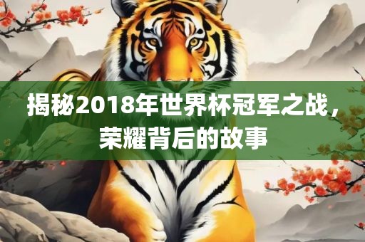 揭秘2018年世界杯冠军之战，荣耀背后的故事
