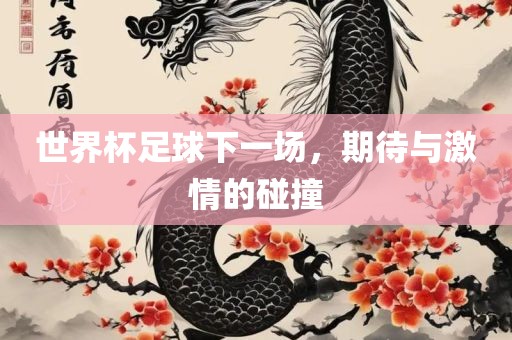 世界杯足球下一场，期待与激情的碰撞