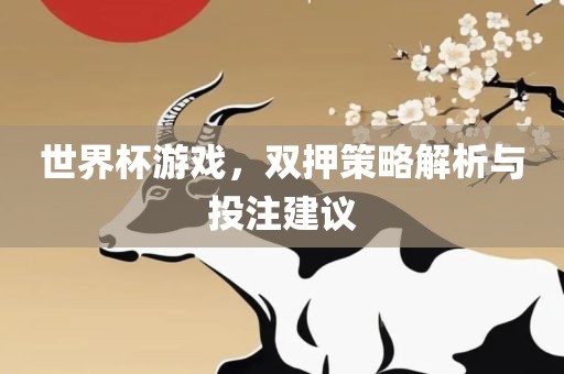 世界杯游戏，双押策略解析与投注建议