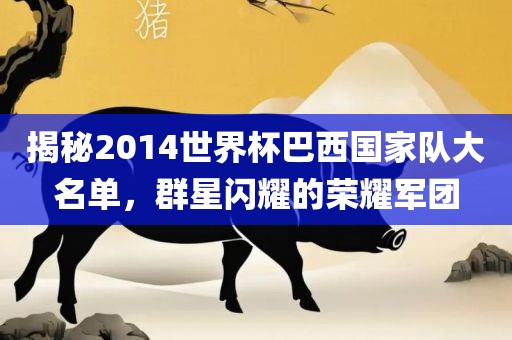 揭秘2014世界杯巴西国家队大名单，群星闪耀的荣耀军团