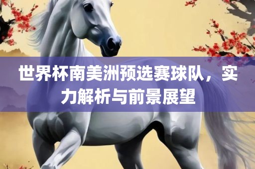 世界杯南美洲预选赛球队，实力解析与前景展望