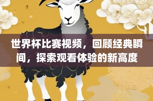 世界杯比赛视频，回顾经典瞬间，探索观看体验的新高度眉山市正发家政服务有限公司