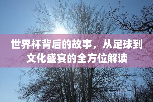 世界杯背后的故事，从足球到文化盛宴的全方位解读