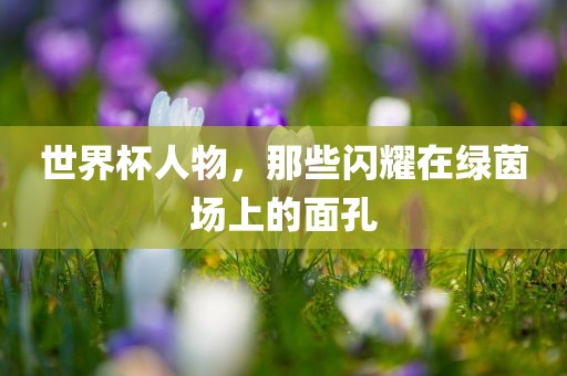 世界杯人物，那些闪耀在绿茵场上的面孔