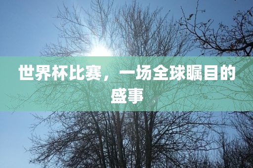 世界杯比赛，一场全球瞩目的盛事